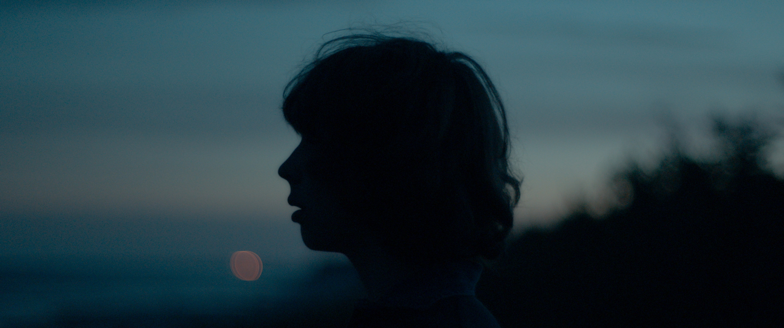 Silhouette of a young woman in profile at dusk